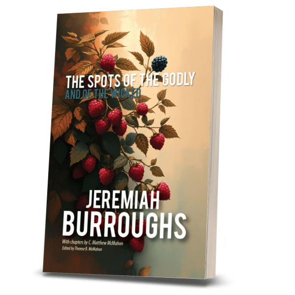 Spots of the Godly and of the Wicked - by Jeremiah Burroughs (1599-1646) 2nd Edition - Image 2
