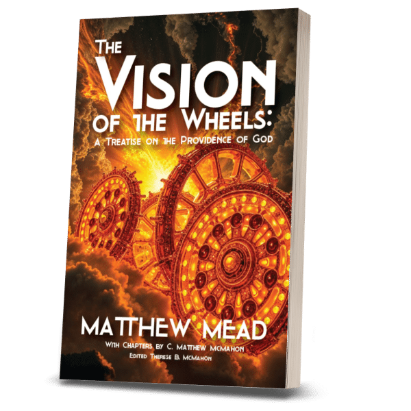 The Vision of the Wheels: A Treatise on the Providence of God - by Matthew Mead (1630-1699) 2nd Ed. - Image 2