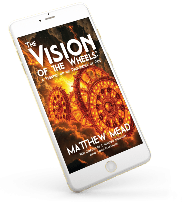 The Vision of the Wheels: A Treatise on the Providence of God - by Matthew Mead (1630-1699) 2nd Ed. - Image 3