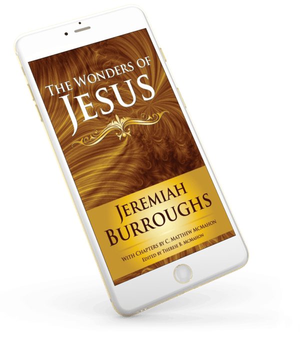 The Wonders of Jesus - by Jeremiah Burroughs (1599-1646) - Image 3