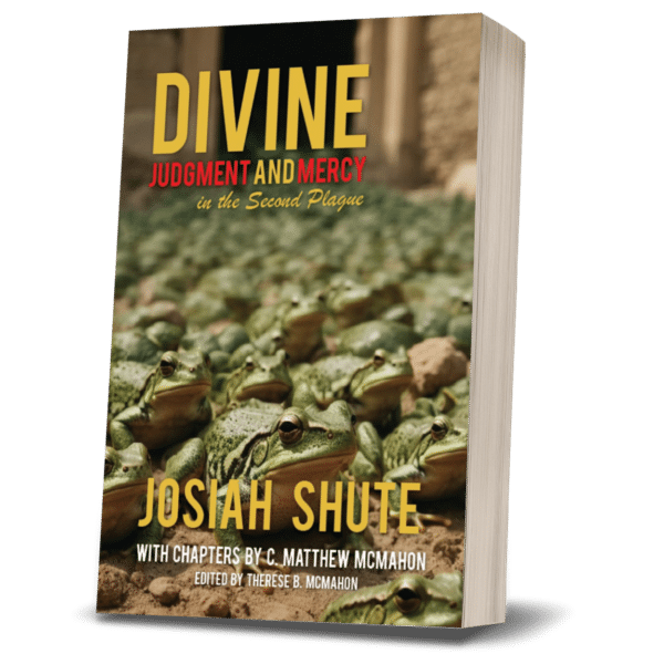 Divine Judgment and Mercy in the Second Plague - by Josiah Shute (1588-1643) - Image 2
