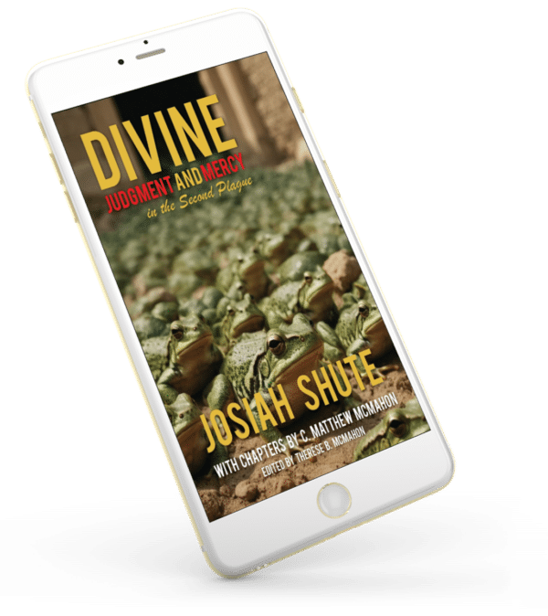 Divine Judgment and Mercy in the Second Plague - by Josiah Shute (1588-1643) - Image 3