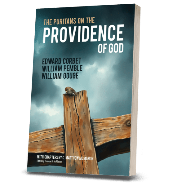 The Puritans on the Providence of God - by Edward Corbet, William Pemble and William Gouge - Image 3