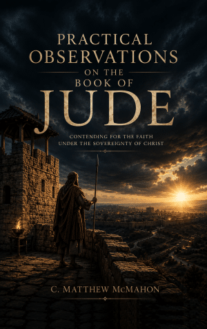 Practical Observations on the Book of Jude - by C. Matthew McMahon